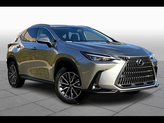 2025 Lexus NX 250