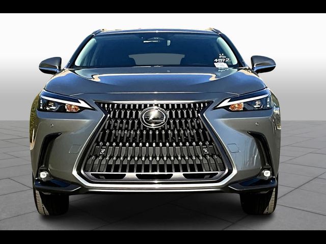 2025 Lexus NX 250