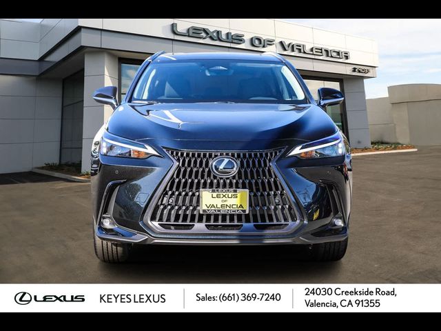 2025 Lexus NX 250