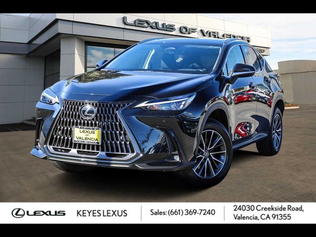 2025 Lexus NX 250