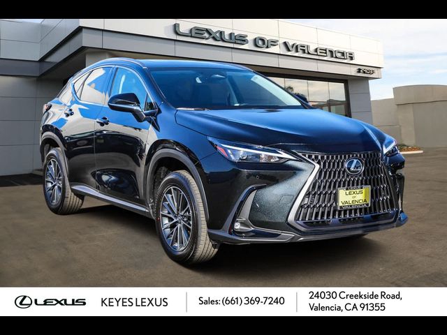 2025 Lexus NX 250