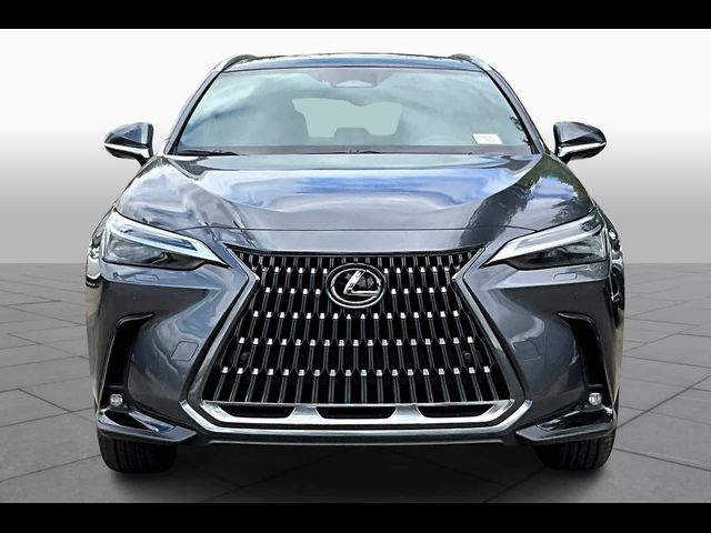 2025 Lexus NX 350 Luxury