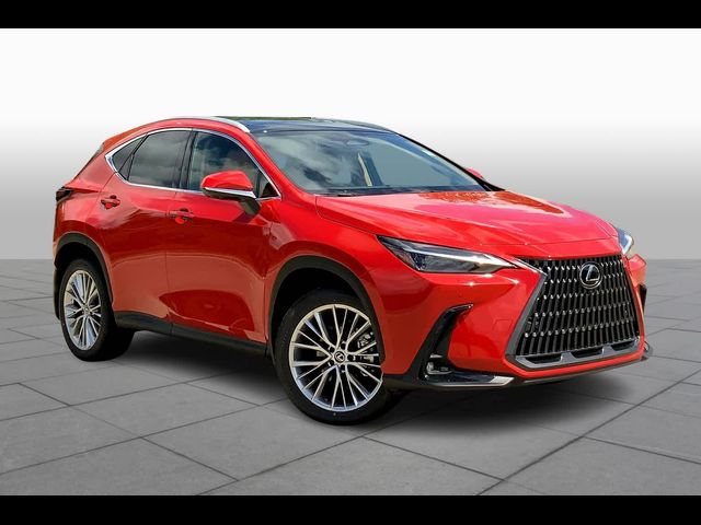 2025 Lexus NX 350 Luxury