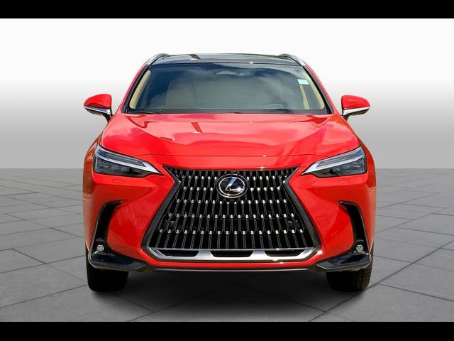 2025 Lexus NX 350 Luxury