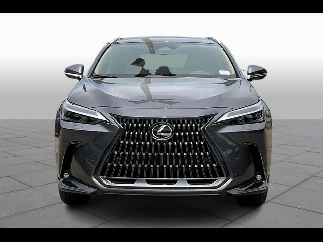 2025 Lexus NX 350 Luxury