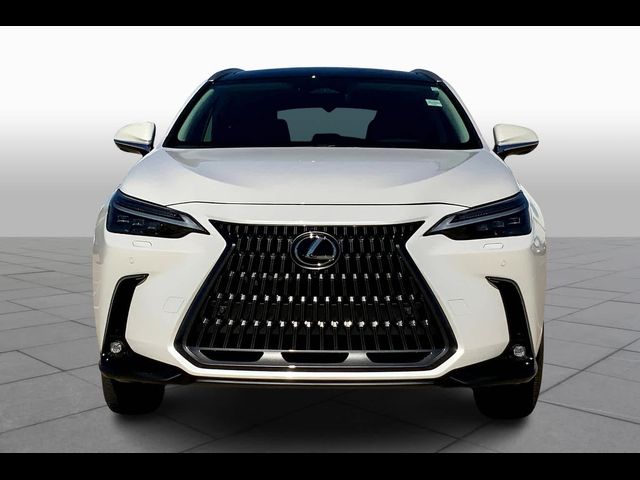 2025 Lexus NX 350 Luxury