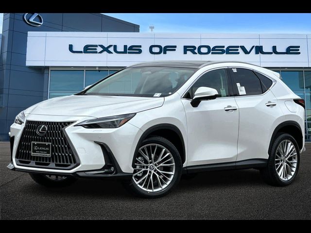 2025 Lexus NX 350 Luxury