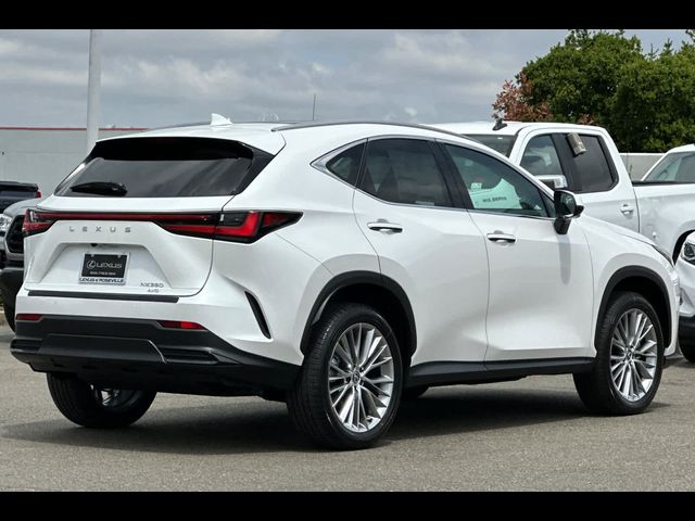 2025 Lexus NX 350 Luxury