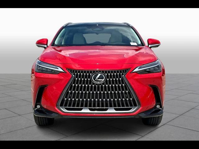 2025 Lexus NX 350 Luxury