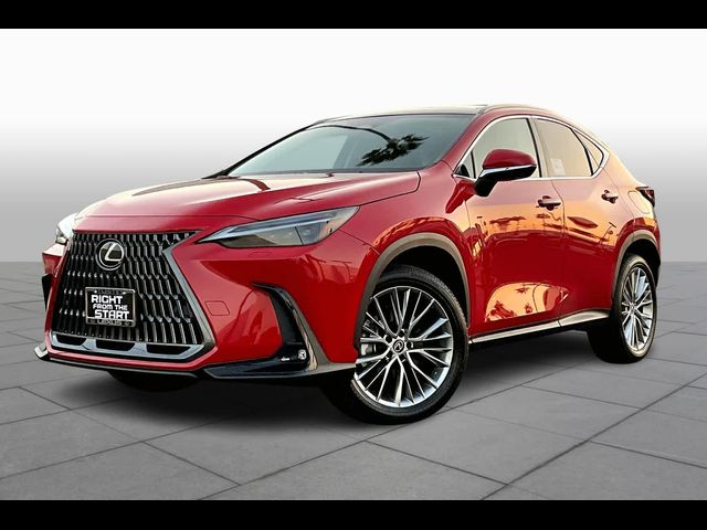 2025 Lexus NX 350 Luxury