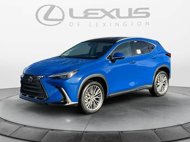 2025 Lexus NX 350 Luxury