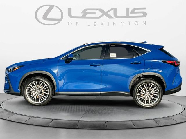 2025 Lexus NX 350 Luxury