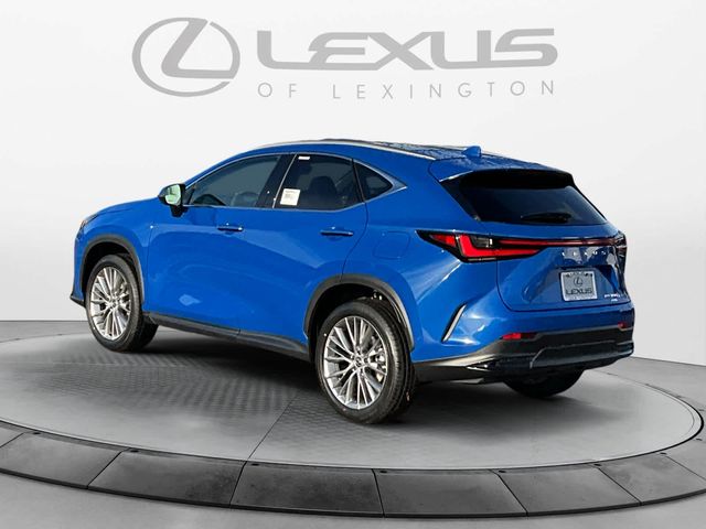 2025 Lexus NX 350 Luxury