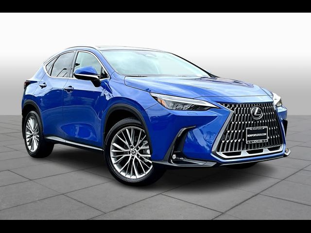 2025 Lexus NX 350 Luxury