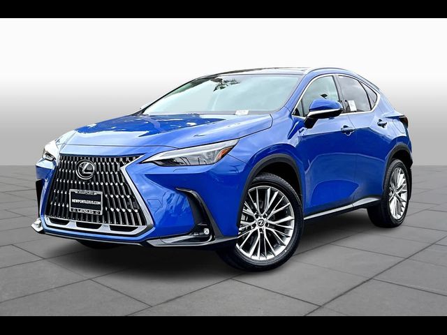 2025 Lexus NX 350 Luxury