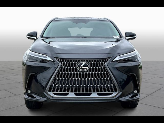 2025 Lexus NX 350 Luxury