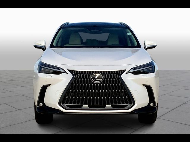 2025 Lexus NX 350h Luxury