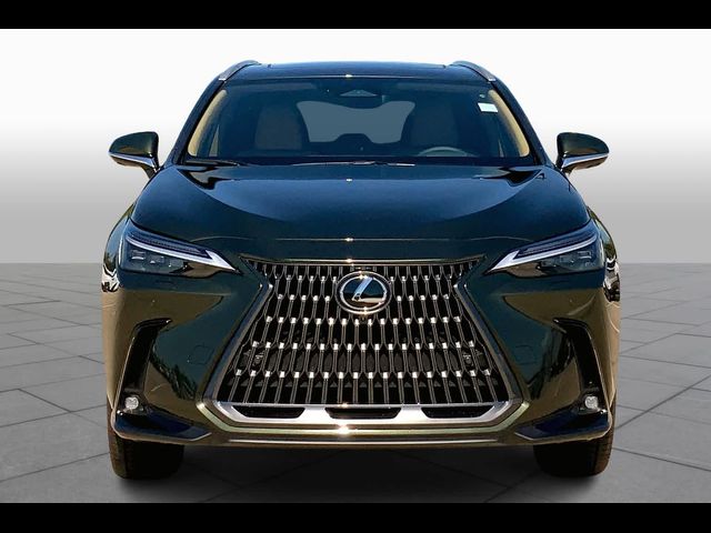 2025 Lexus NX 350h Luxury