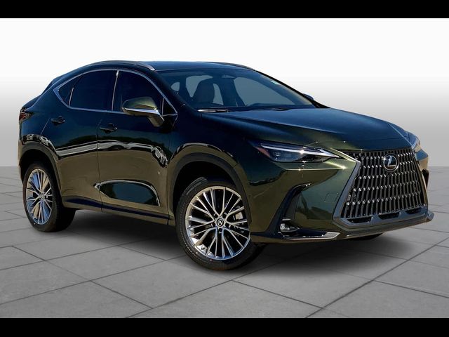 2025 Lexus NX 350h Luxury