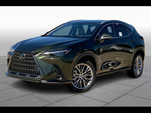 2025 Lexus NX 350h Luxury