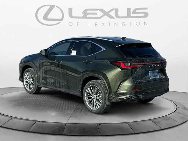 2025 Lexus NX 350h Luxury