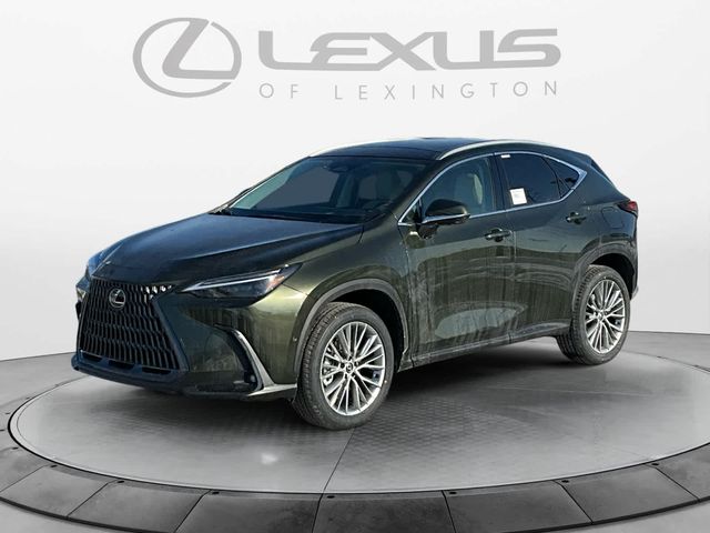 2025 Lexus NX 350h Luxury