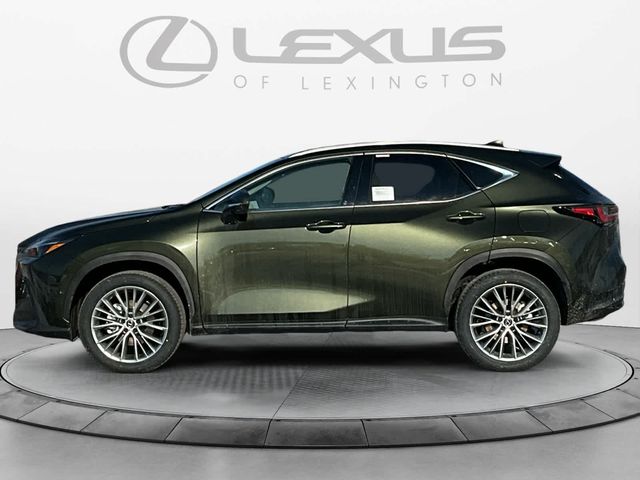 2025 Lexus NX 350h Luxury