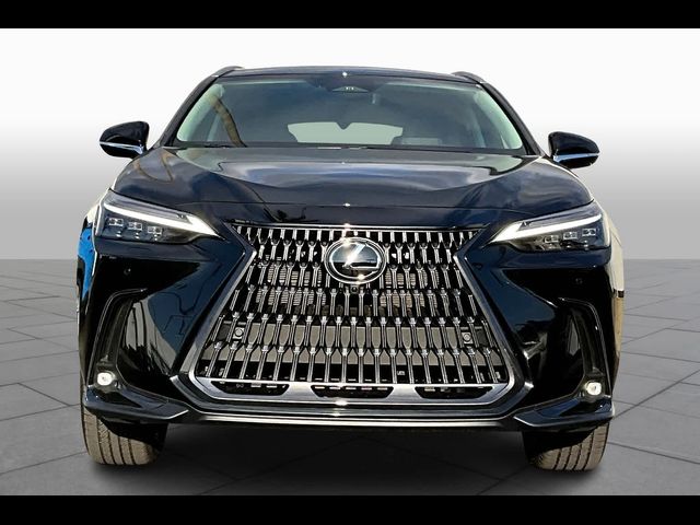 2025 Lexus NX 350h Luxury