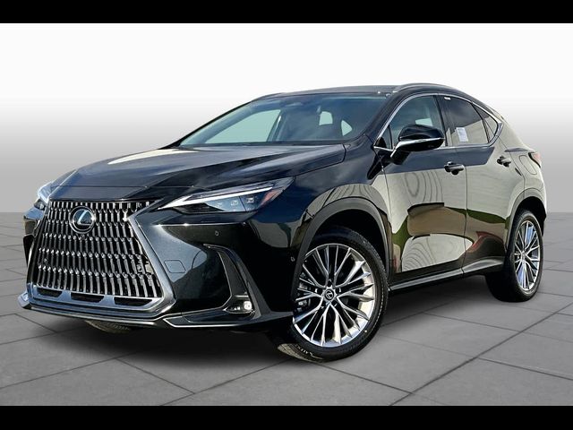 2025 Lexus NX 350h Luxury