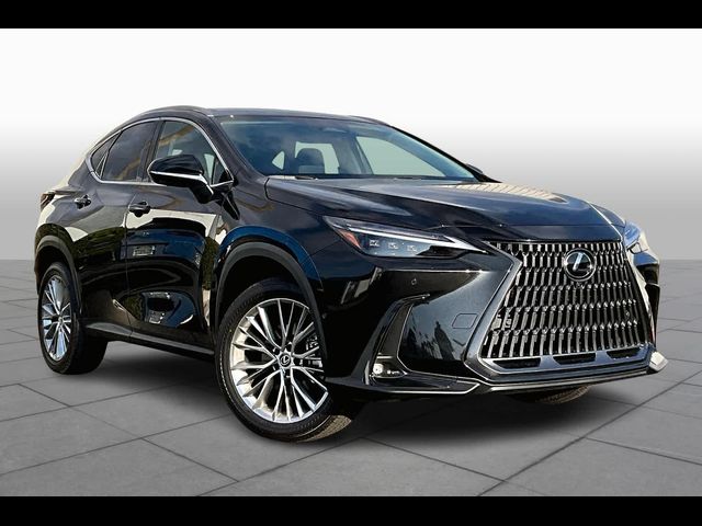 2025 Lexus NX 350h Luxury