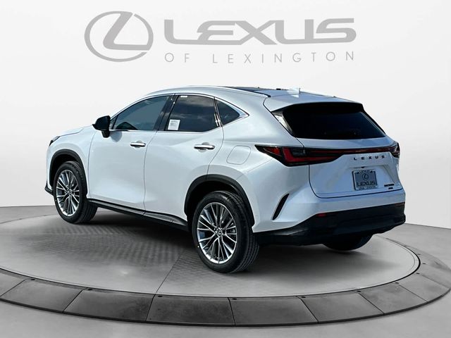 2025 Lexus NX 350h Luxury