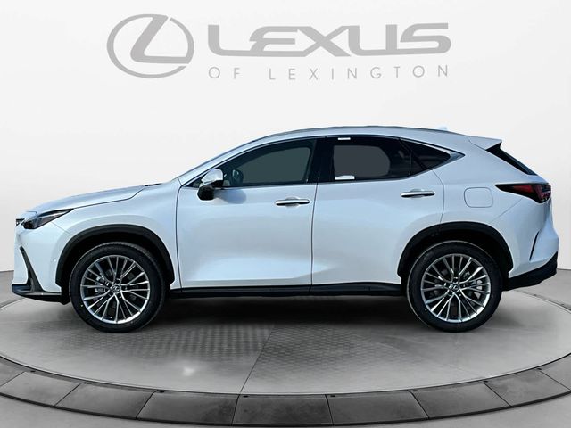 2025 Lexus NX 350h Luxury