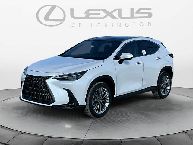 2025 Lexus NX 350h Luxury