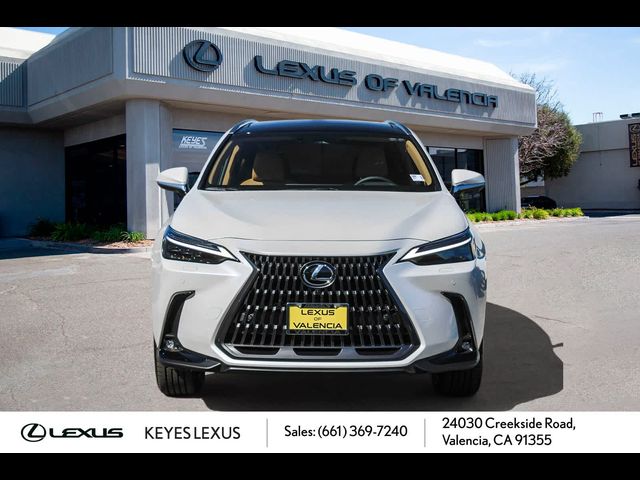 2025 Lexus NX 350h Luxury