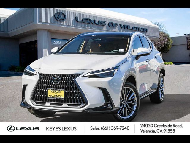 2025 Lexus NX 350h Luxury