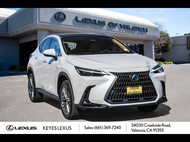 2025 Lexus NX 350h Luxury