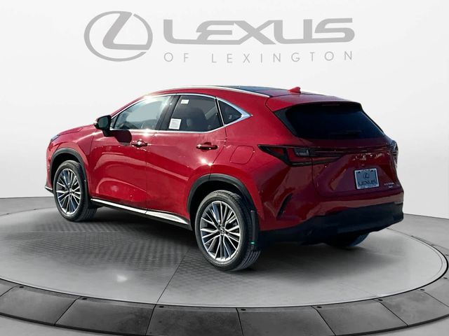 2025 Lexus NX 350h Luxury