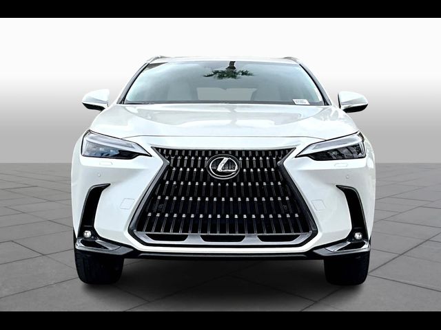 2025 Lexus NX 450h+ Luxury