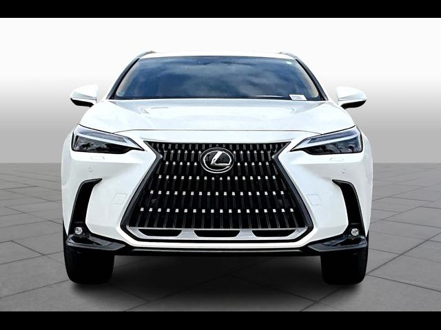 2025 Lexus NX 450h+ Luxury