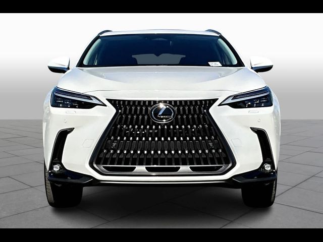 2025 Lexus NX 450h+ Luxury