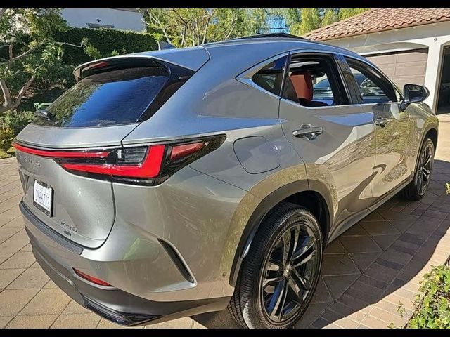 2025 Lexus NX 450h+ Luxury