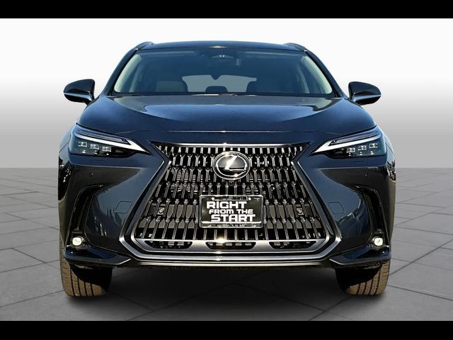 2025 Lexus NX 450h+ Luxury