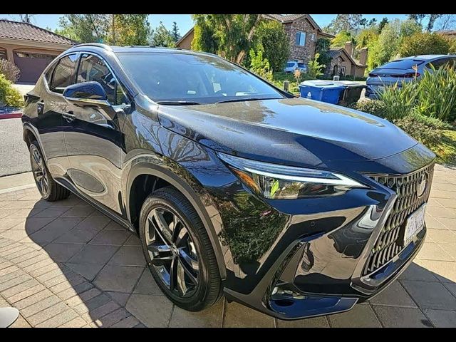 2025 Lexus NX 450h+ Luxury