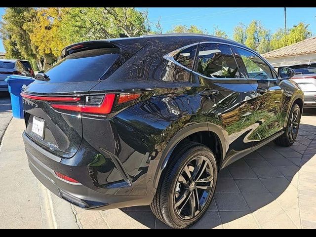 2025 Lexus NX 450h+ Luxury