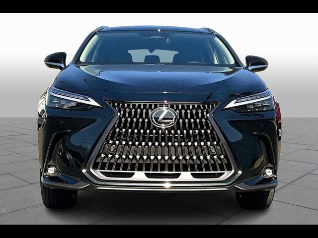 2025 Lexus NX 450h+ Luxury