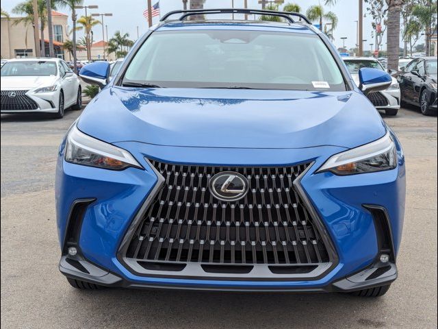 2025 Lexus NX 250