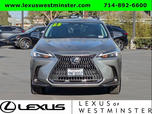 2025 Lexus NX 250