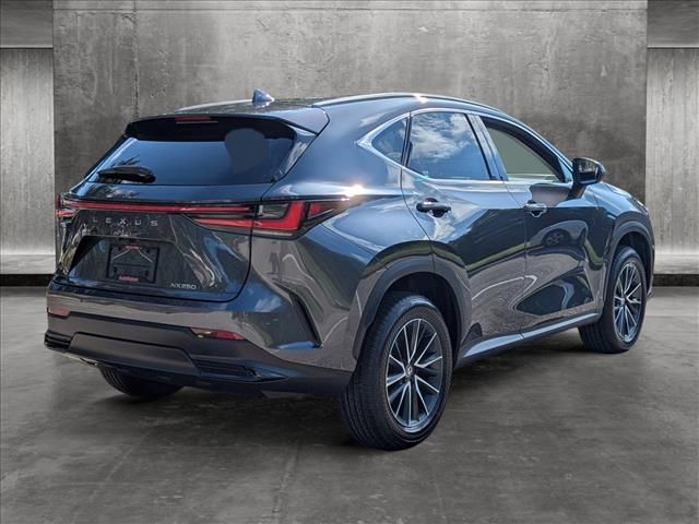 2025 Lexus NX 250