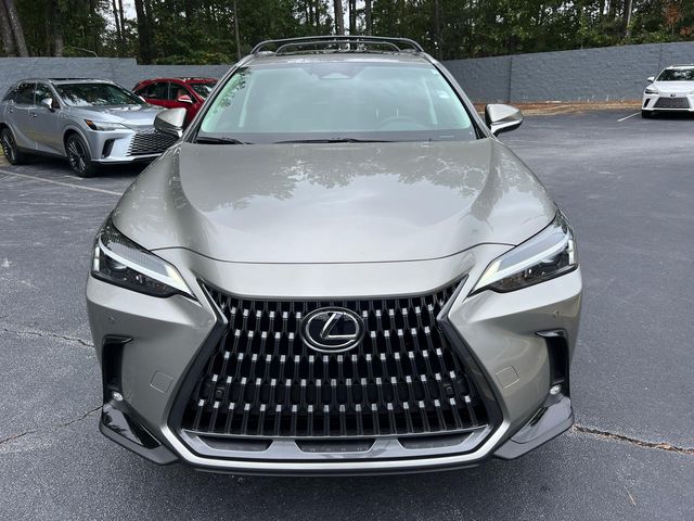 2025 Lexus NX 250