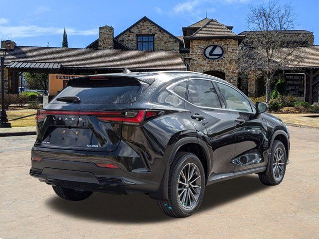 2025 Lexus NX 250